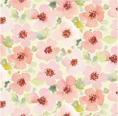 Flower House-Spa-Cream Flower House-Spa-Cream