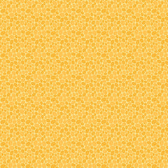Transparency Watercolours- Pebbles Sunhsine Transparency Watercolours- Pebbles Sunhsine