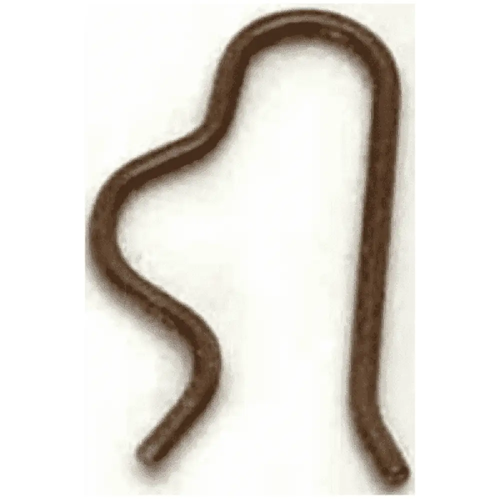 Elna Spool Pin Spring #413290-10 Elna Spool Pin Spring #413290-10
