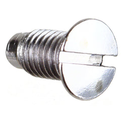 Bernina Needle Plate Screw, Bernina #100032003