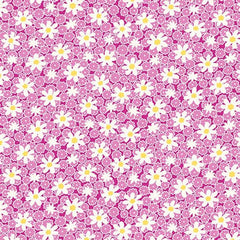 Nana Mae 8, Packed Daisy