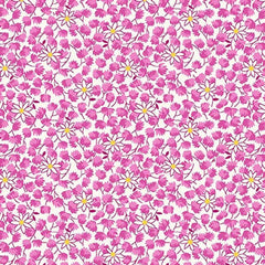 Nana Mae 8, Absrtact Floral
