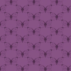 Bee Haven, Etched Cabbage Butterfly