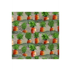 Welcome to the Funny Farm Carrots - 18734-Multi