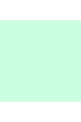 Colorworks Premium Solid Frosted Mint - 9000-752