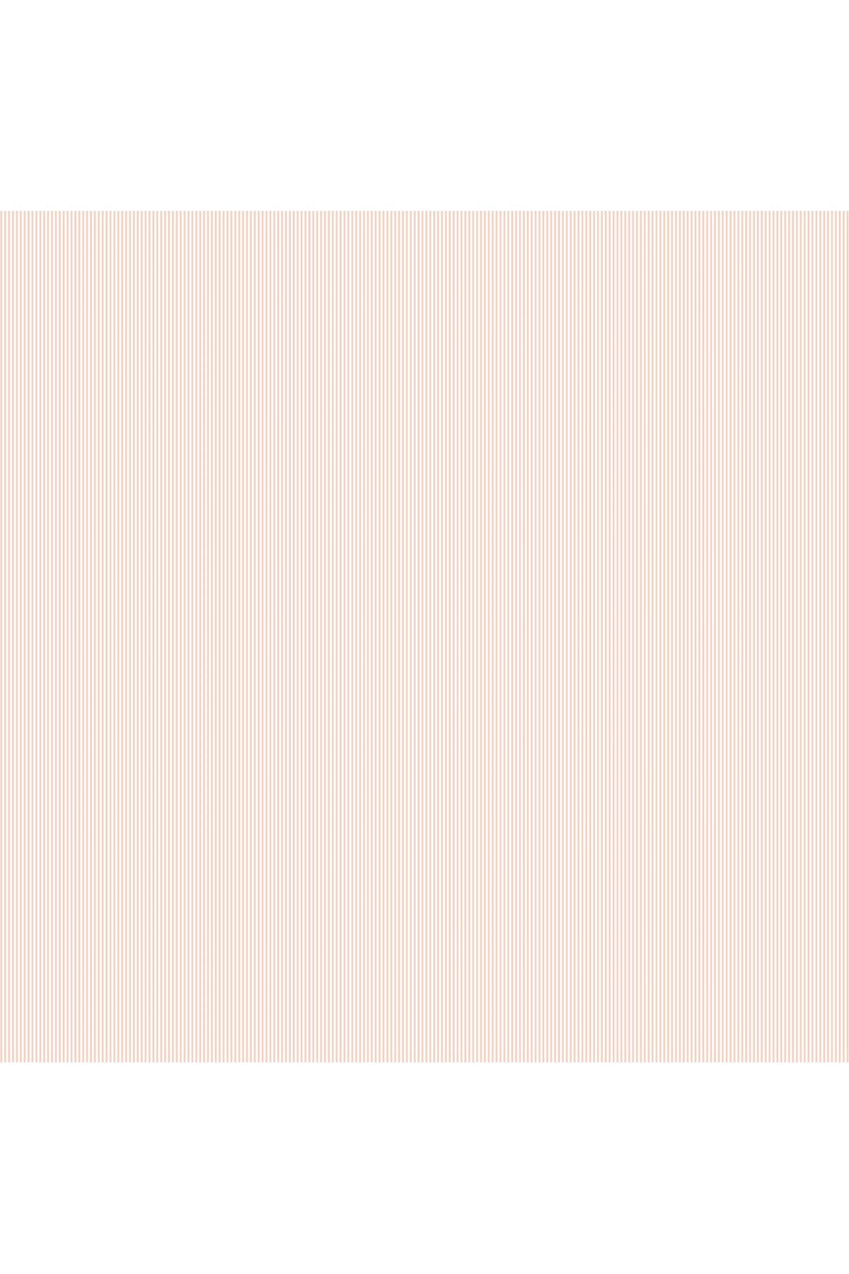 The Serenity Basics Collection by Ghazal Razavi