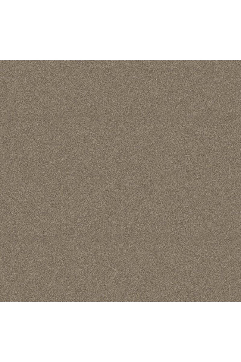 Warm and Cozy Brown - F24688-14