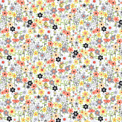 Sweet Bees, The World of Susybee