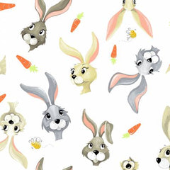 Harold the Hare, The World of Susybee
