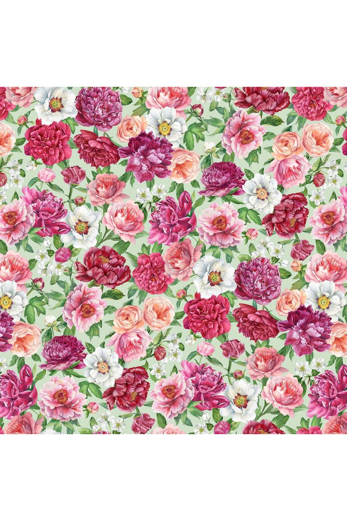 Fabric, Northcott Fabrics, Blush Collection