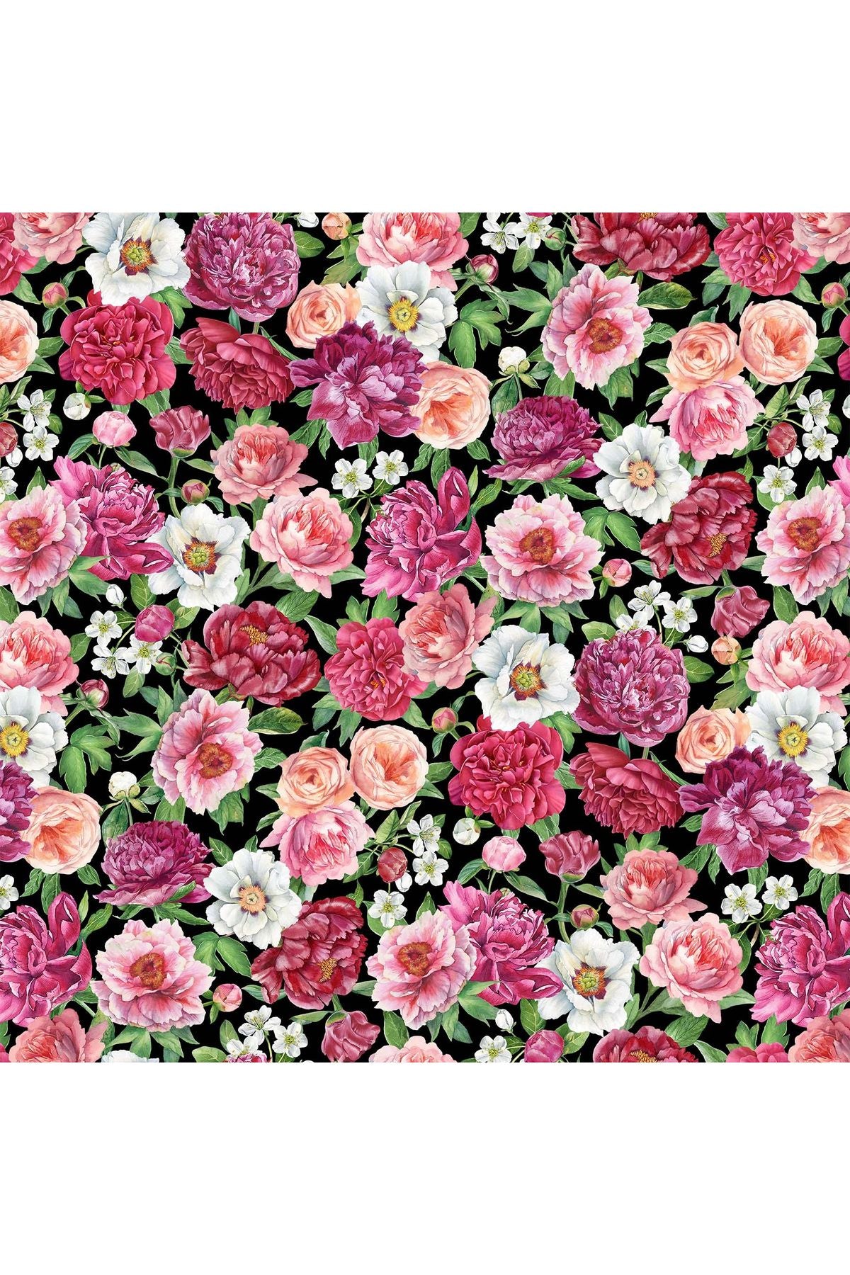 Fabric, Northcott Fabrics, Blush Collection