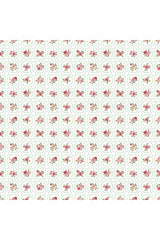 Fabric, Northcott Fabrics, Blush Collection