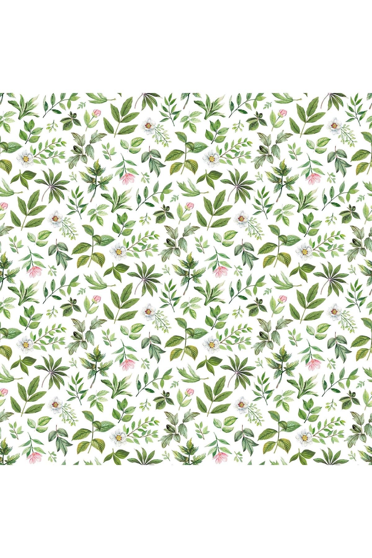 Fabric, Northcott Fabrics, Blush Collection