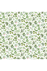 Fabric, Northcott Fabrics, Blush Collection