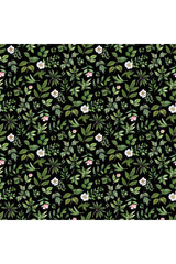 Fabric, Northcott Fabrics, Blush Collection