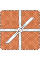 Topography Collection - 10" Squares