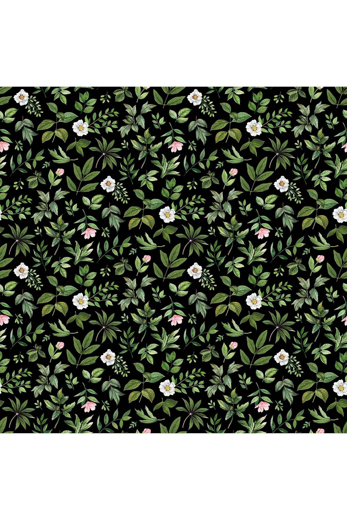 Fabric, Northcott Fabrics, Blush Collection