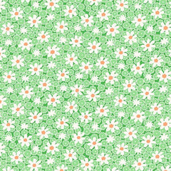 Nana Mae 8, Packed Daisy