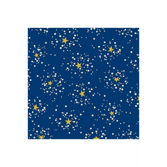 Northern Lights A-9101-MB