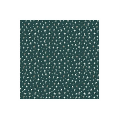 Fabric, Capsules Campsite Midnight Wishes - AGF Art Gallery Fabrics