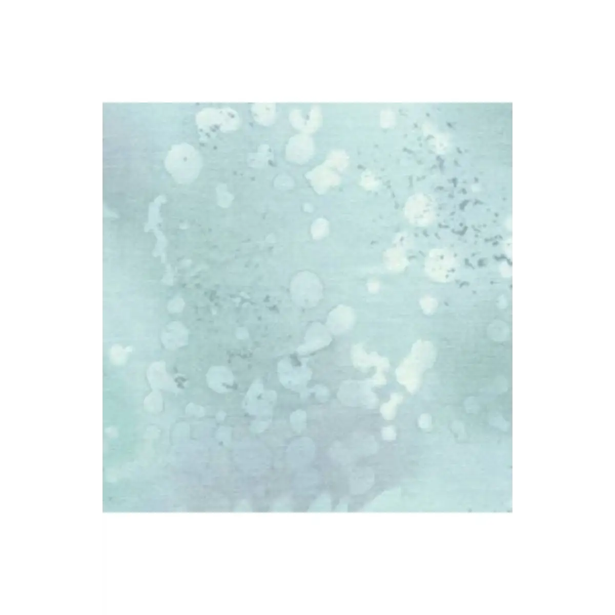Fabric, Benartex - Fossil Fern Cloudy Day 0528-0Y