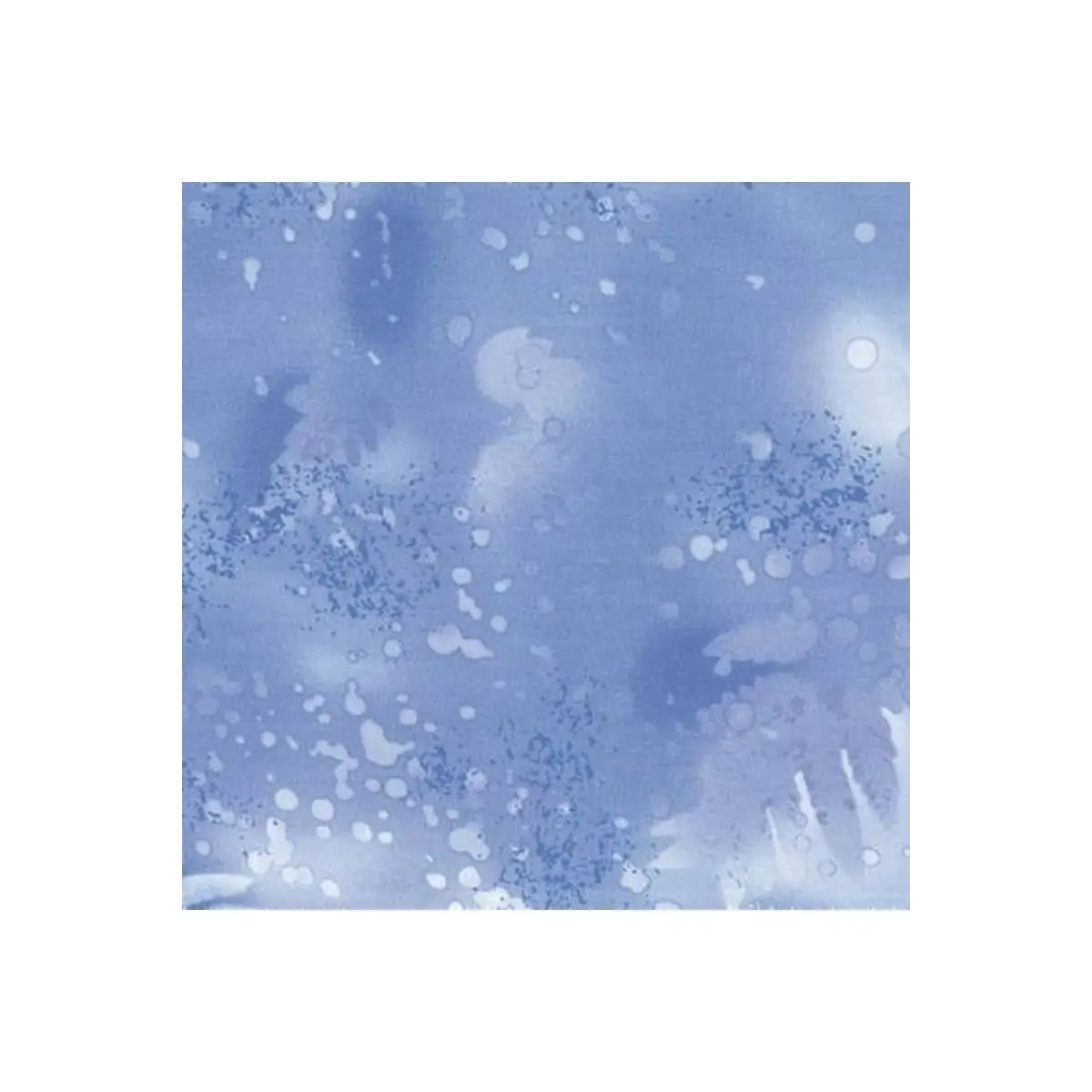 Nordid Ice Fossil Fern