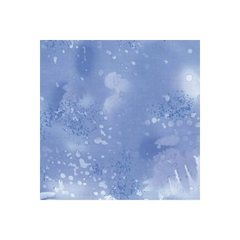 Nordid Ice Fossil Fern