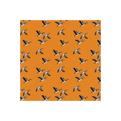Canadian Boreal Forest - Canadian Geese Orange