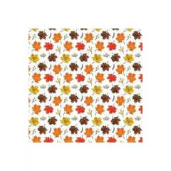 Canadian Boreal Forest -White
