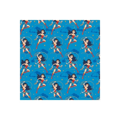 DC Girl Heroes Wonder Woman