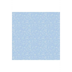 White Starry Night
