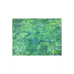 Anthology Batiks AN-6131-2Q05