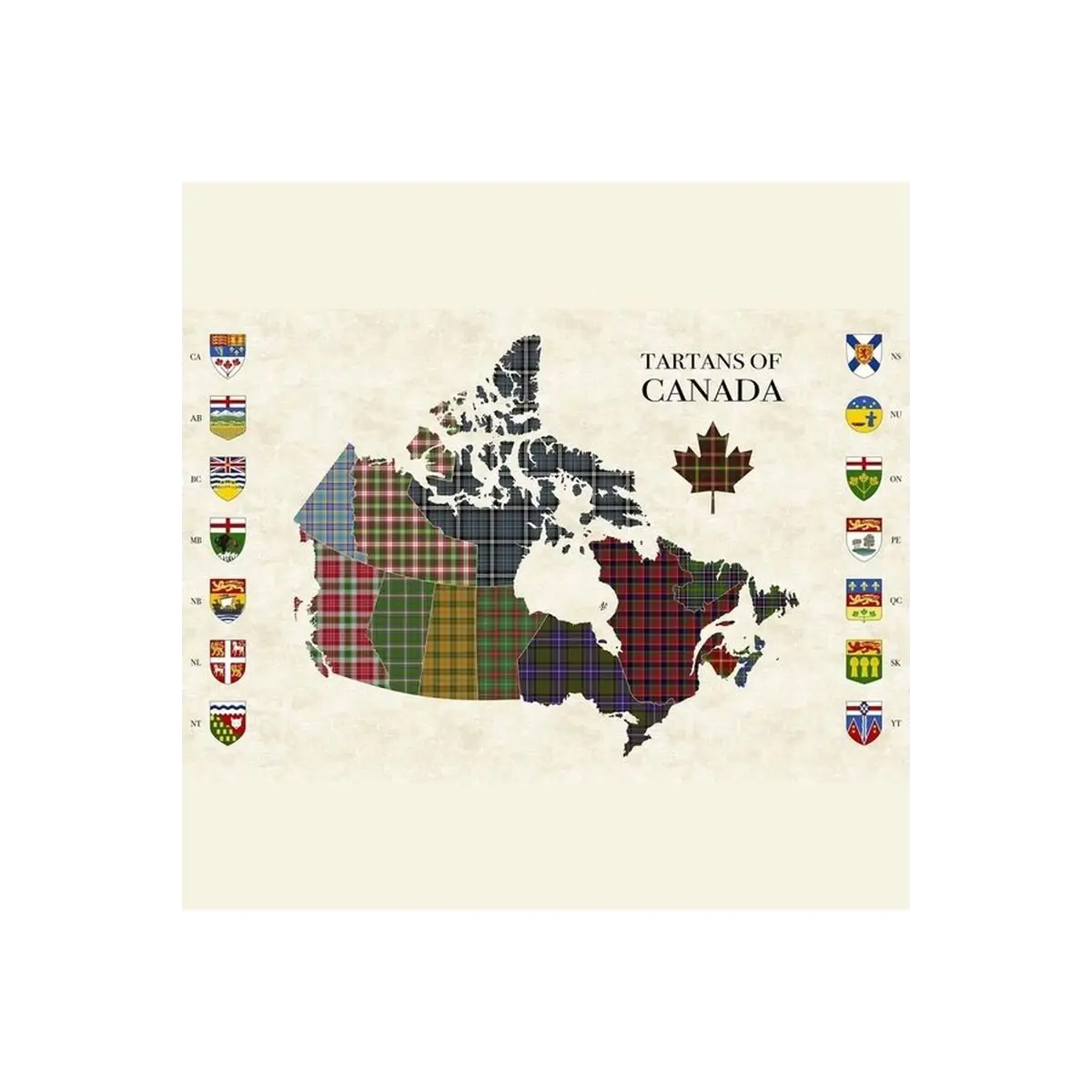 Tartan Traditions, Tartan Panel - DP25586-11