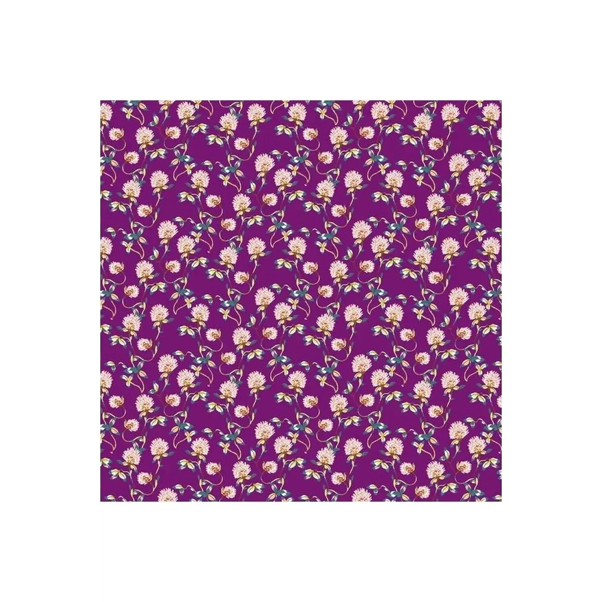 Forage Clover - R90332