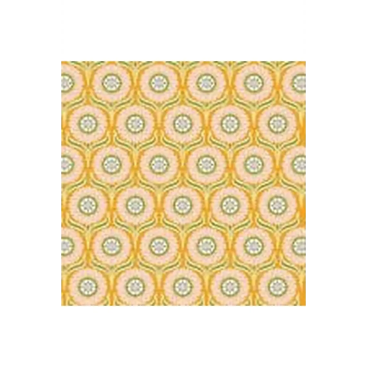 Local Honey Pop Daisy - 90657