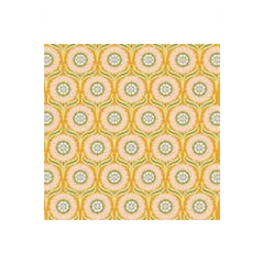 Local Honey Pop Daisy - 90657