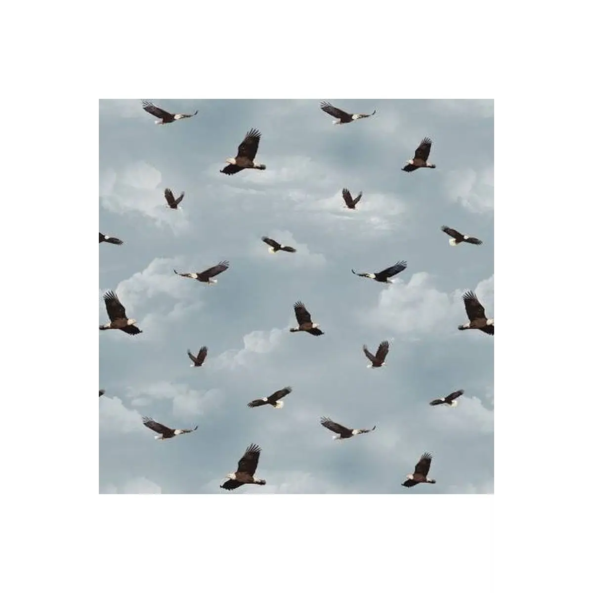 Blue Flying Eagles
