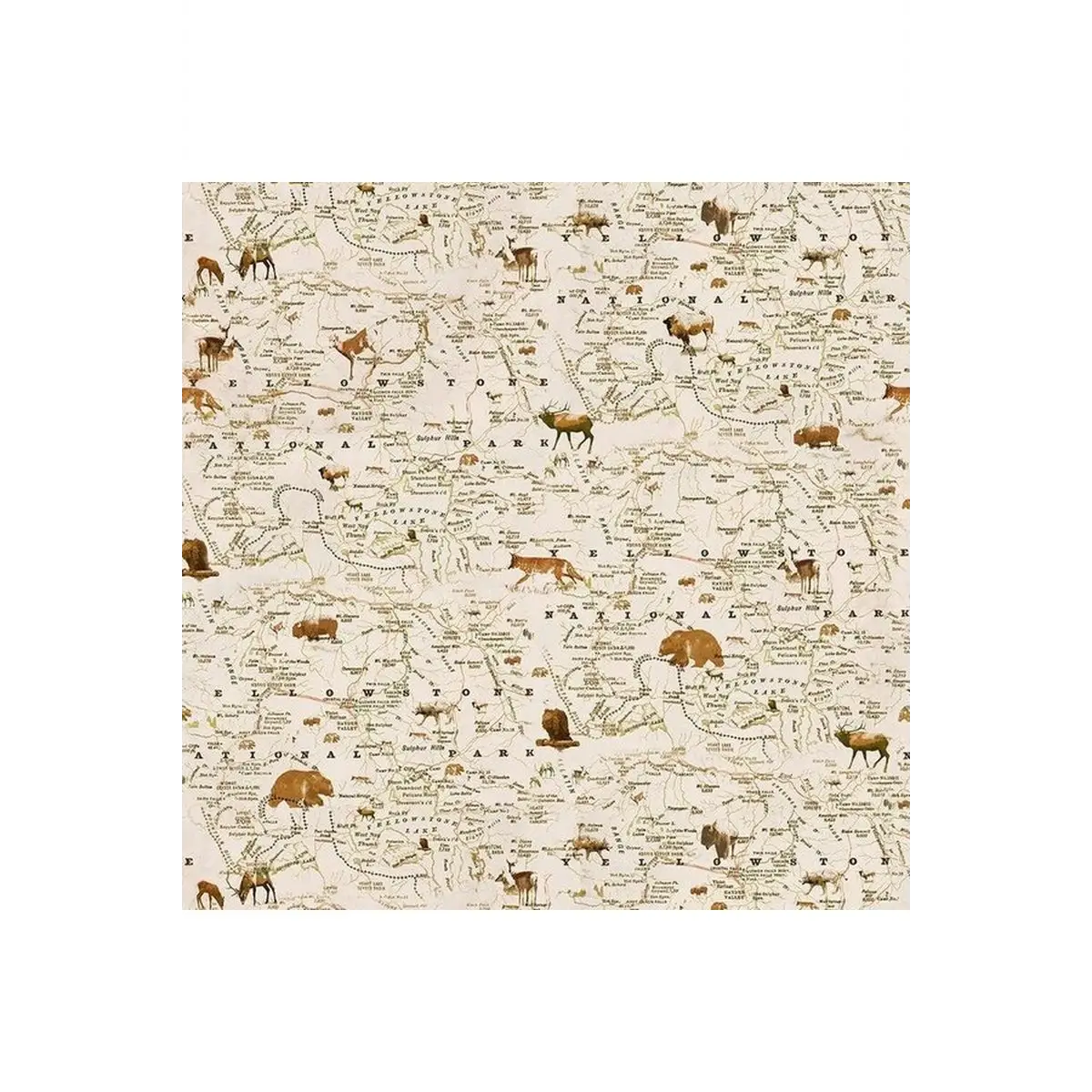 Yellowstone Map