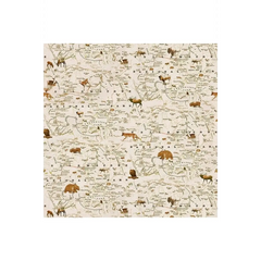 Yellowstone Map