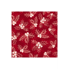 A Poinsettia Winter
