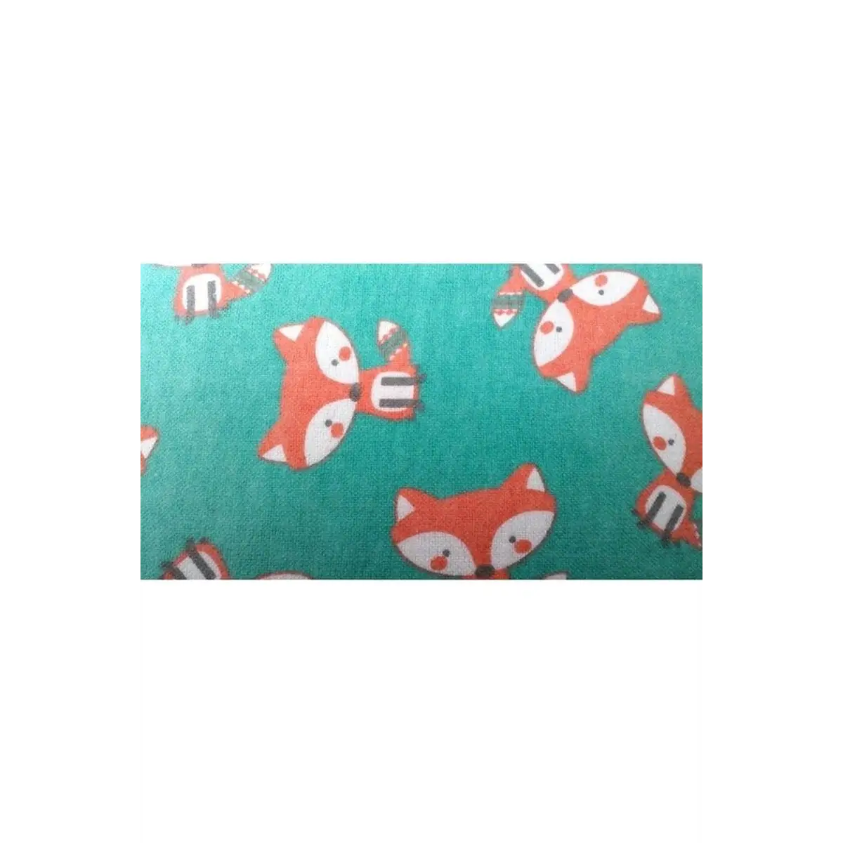 Fox on teal