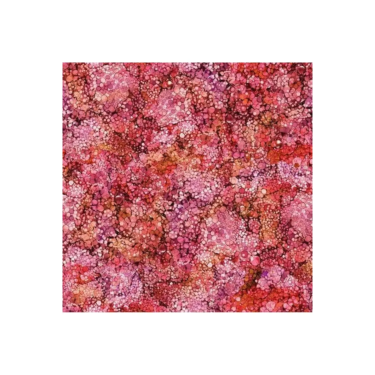 Bliss Coral Reef - DP23887-27