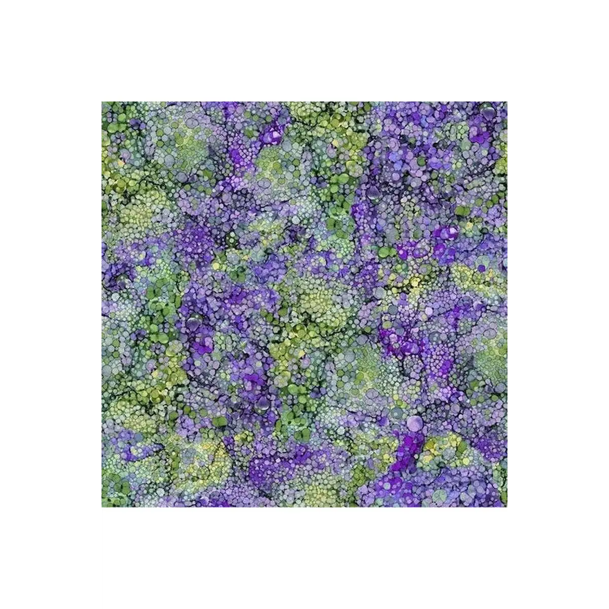 Bliss Pansy - DP23887-82