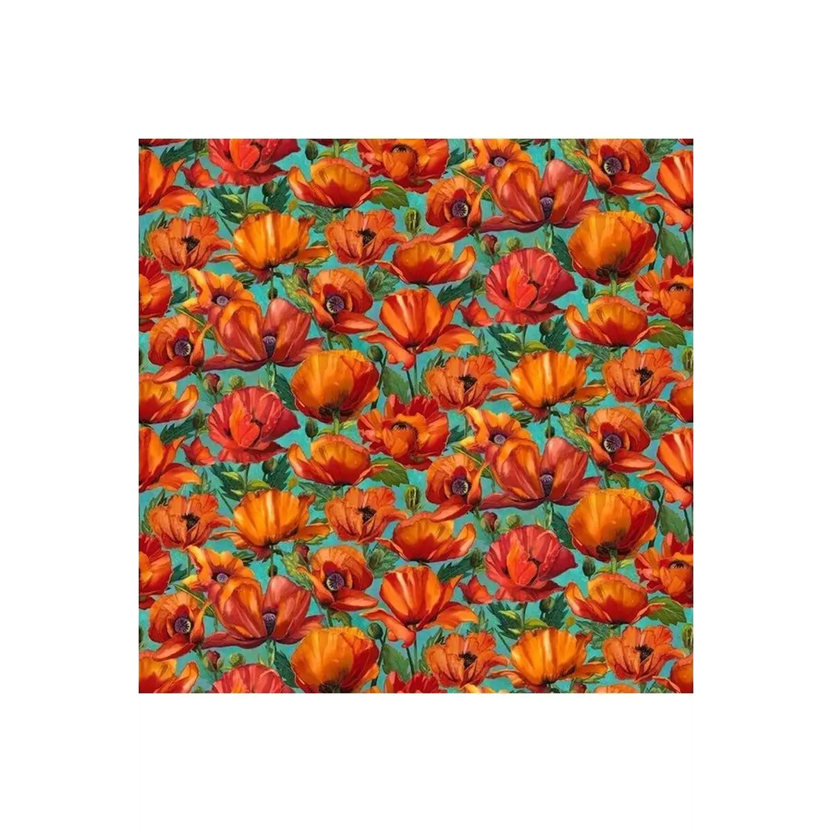 Charisma Packed Poppies -DP25562-68