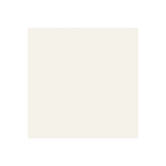 ColorWorks Premium Solid Vellum