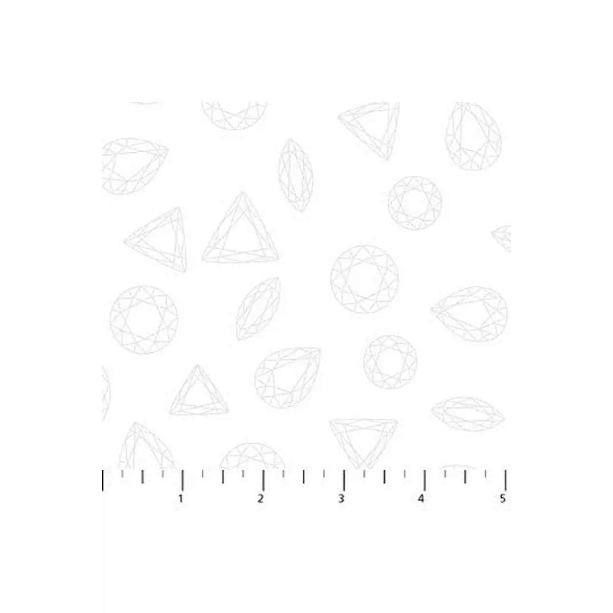 Facets 22673-10