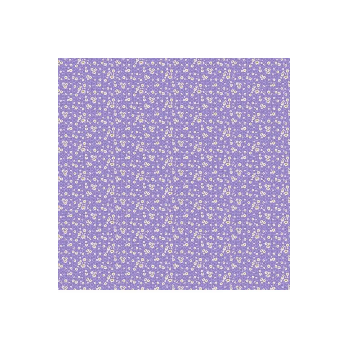 Lavender Market Mini Daisy - 24480