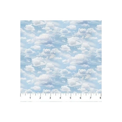 Naturescapes Basics Light Blue- 2549-42