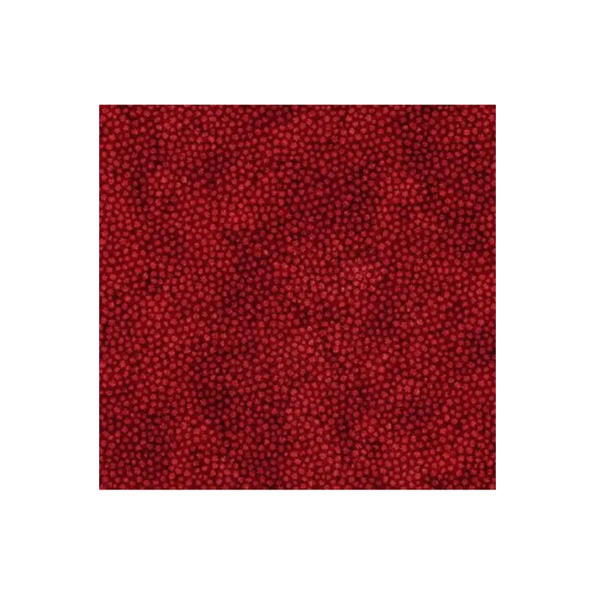 Fabric, Northcott, OH CANADA 10TH ANNIVERSARY, Red - 24272-28