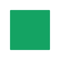 Quilter's Choice Solid - Kelly Green